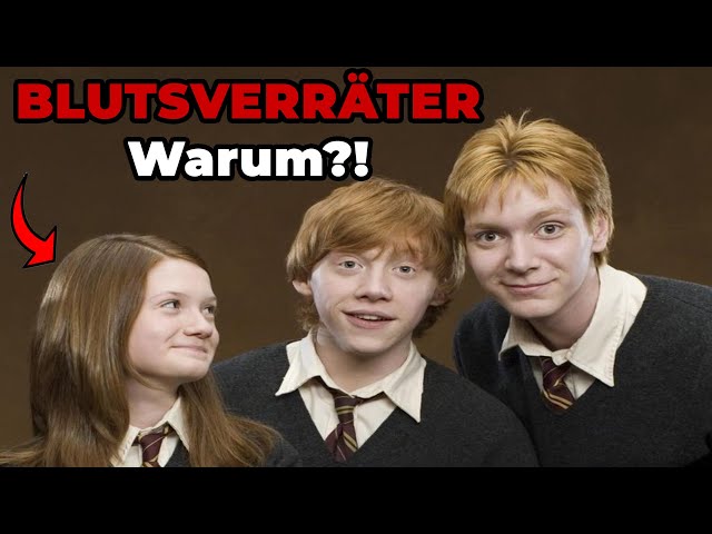 Warum wurden die Weasleys als BLUTSVERRÄTER bezeichnet? - Harry Potter erklärt