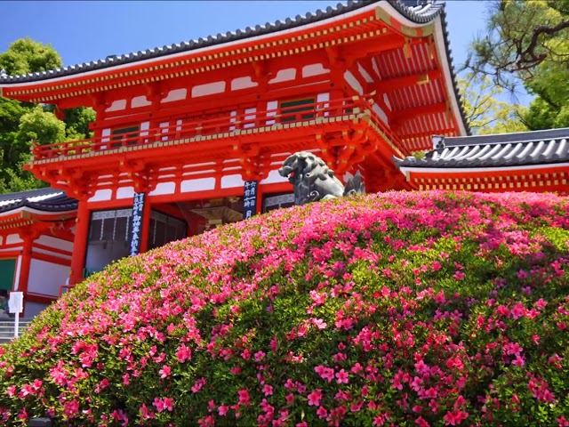 おいでやす　京都の旅　神社　庭園