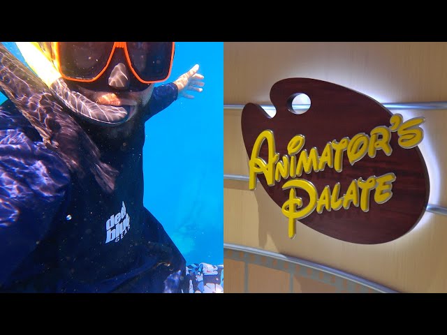 BEST Disney Cruise Excursion in St. Thomas Shipwreck Cove | Exciting Dinner at Animator's Palate!