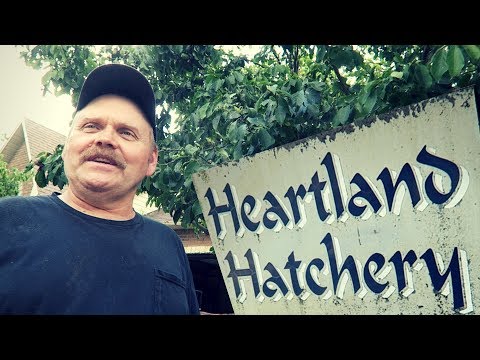 Heartland Hatchery