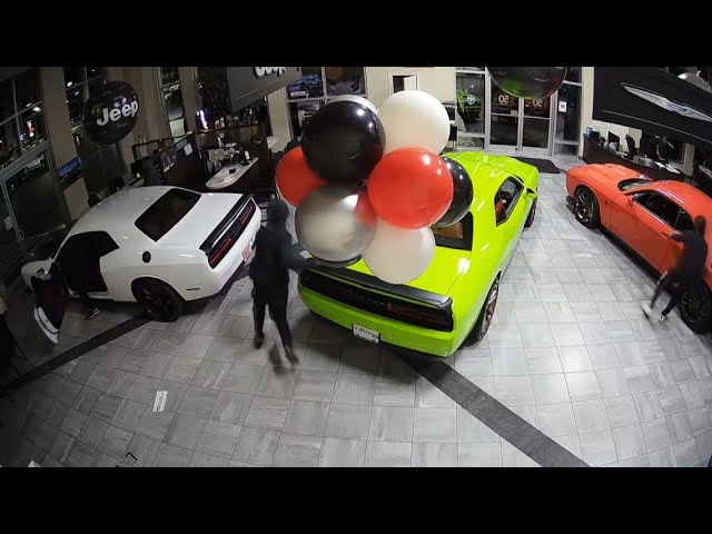 RAW: Thieves steal 6 sports cars from Kentucky dealership in under 45 seconds