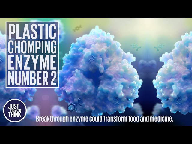 Plastic eating enzymes just got even better! New breakthrough.