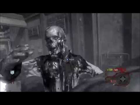 BLACK OPS ZOMBIES | ASCENSION