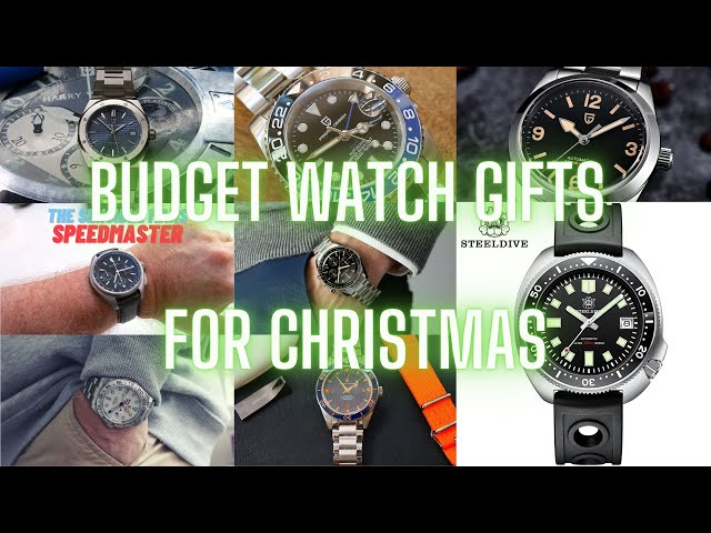 Budget Homage Watch Recommendations for Christmas - Pagani Design, Bulova & SteelDive