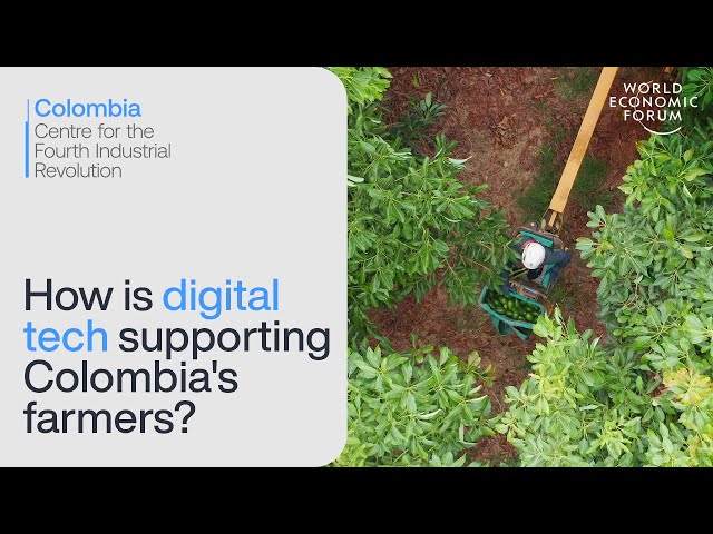 C4IR | Impact On The Ground |How digital tech is revolutionizing agriculture in Colombia