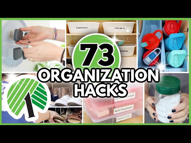 73+ Dollar Tree Organization Hacks From a Pro (Get your house organized FAST!!!)