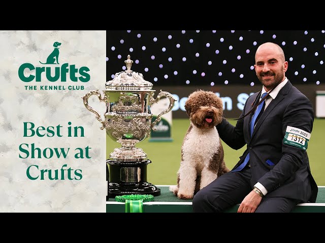 The Best of the Best 🐶 Our Best in Show Winners from Crufts Past