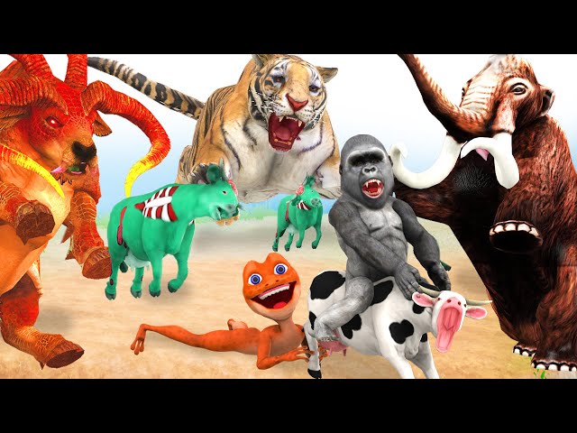 10 Zombie Cows vs 10 Zombie Tigers vs 10 Bulls Fight For Cow Cartoon Gorilla Saved By Woolly Mammoth