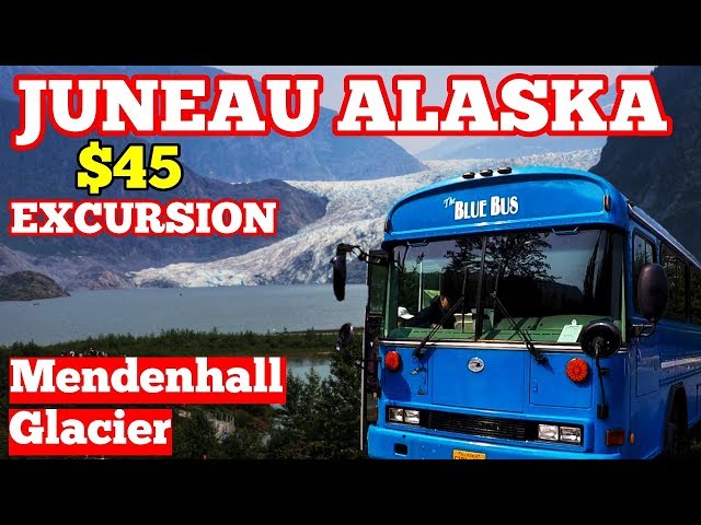 Mendenhall Glacier & Nugget Falls Shore Excursion - Juneau Alaska