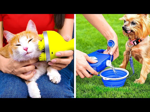 SMART HACKS AND GADGETS THAT EVERY PET OWNER SHOLD TRY