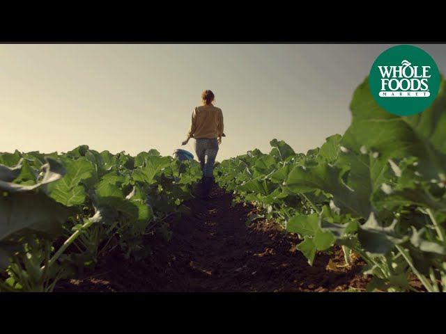 Midwest Whole Foods Market Commercial: Food From A Happy Place | Store Opening | Whole Foods Market