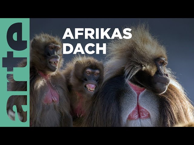 Äthiopien - Auf dem Dach Afrikas | Unsere Erde, der mysteriöse Planet Reupload | ARTE Family