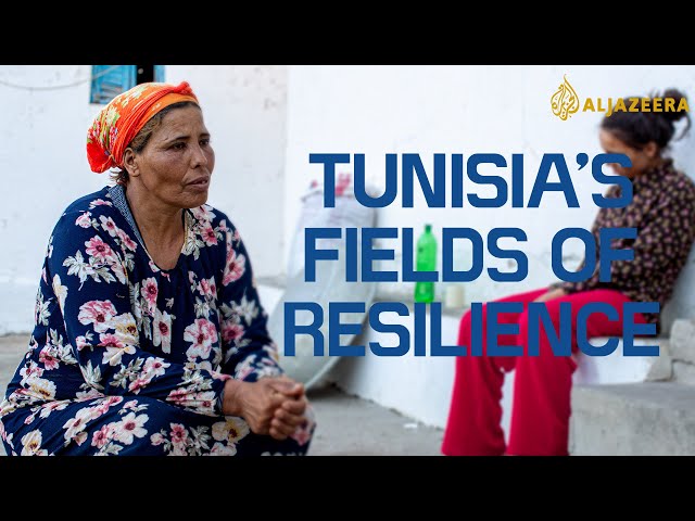 A mother toils in the fields to save her daughter | Tunisia's Fields of Resilience | Preview