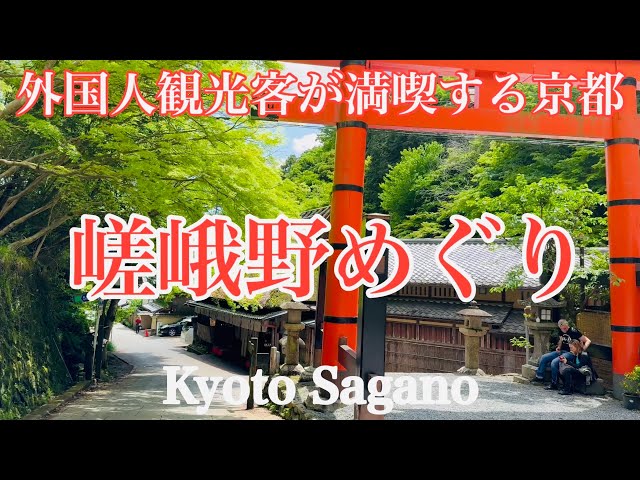 2024年4月25日 外国人観光客が楽しむ京都 行楽日和の嵯峨野を歩く Walking in Sagano, Kyoto 【4K】