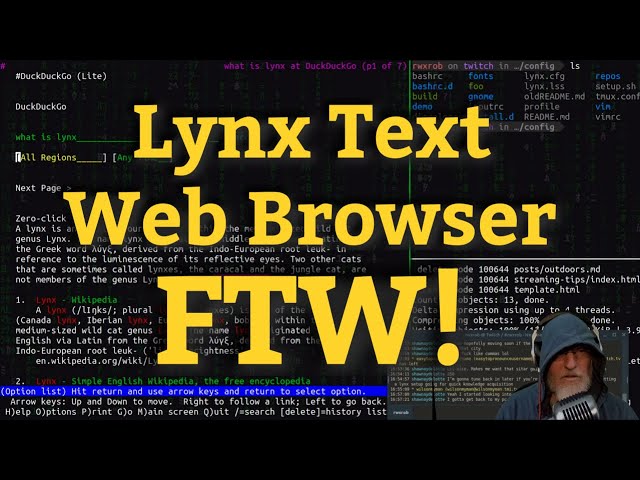 Lynx Text Web Browser FTW!