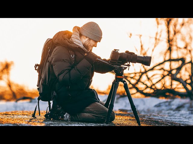 How To Film Nature & Wildlife | Behind The Scenes