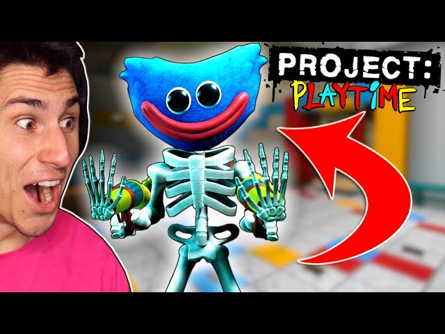 I Found The SECRET HUGGY! | Project Playtime