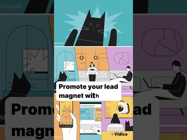 Distribute your lead magnet with video - Magnite’s example