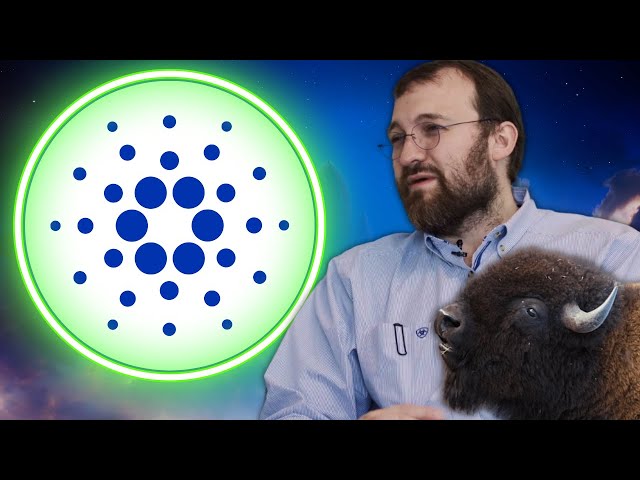 Cardano ADA And Governments.... BIG UPDATE!