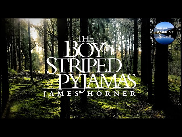 The Boy in the Striped Pyjamas | Calm Continuous Mix