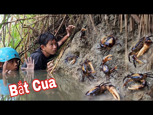 CUA ĐỒNG Ẩn Nấp Dưới Lớp Bùn Bên Bờ Sông Không Ai Biết |  1 Ngày Sinh Tồn Trên Sông Sang Vlog