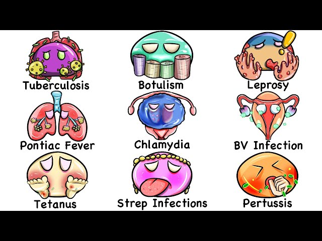 Every DEADLIEST Infection Explained in 12 Minutes