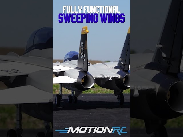 The All-New Freewing F-14 Tomcat! Available Now!