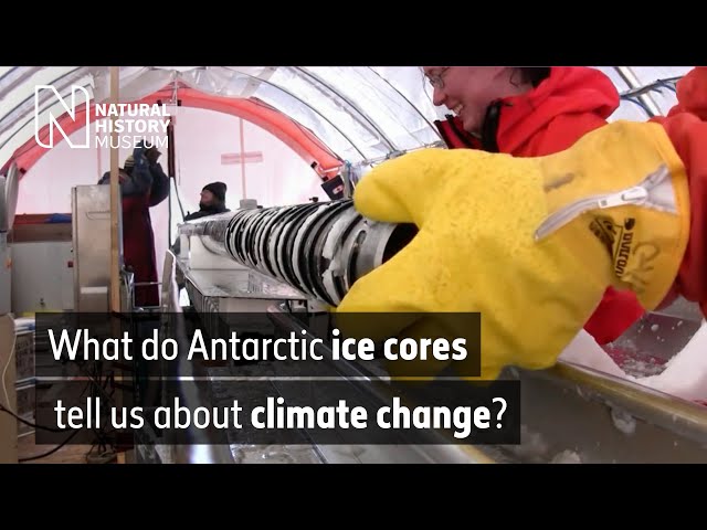What Antarctic ice cores tell us about climate change | Natural History Museum
