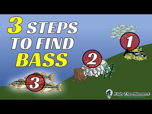 3 Step Process To Find Bass on ANY LAKE In Under 2 Hours