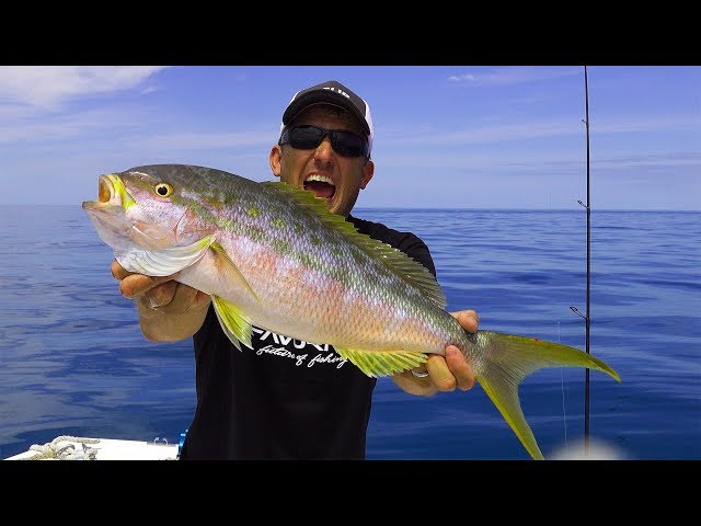 Yellowtail Snapper- Biggest I've EVER SEEN!!! (catch clean cook) Plus Monster Permit