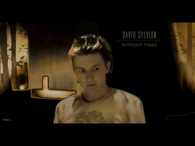 DAVID SYLVIAN - Brilliant Trees (new vocal) 2000