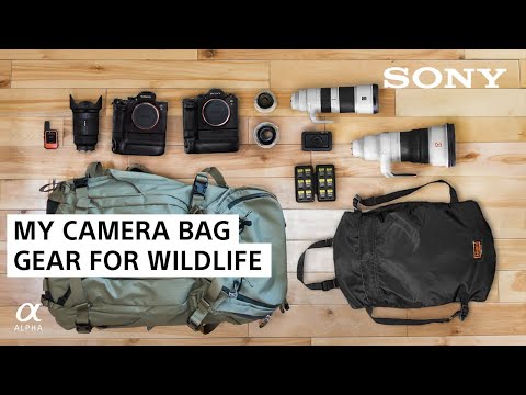 Must Have Sony Gear: Cameras, Lenses & More | Sony Alpha Universe