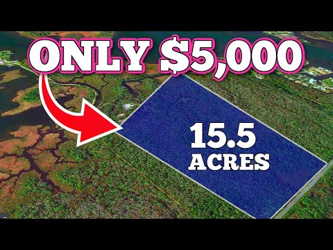 NEVER Buy Affordable Land If You Don't Know This!