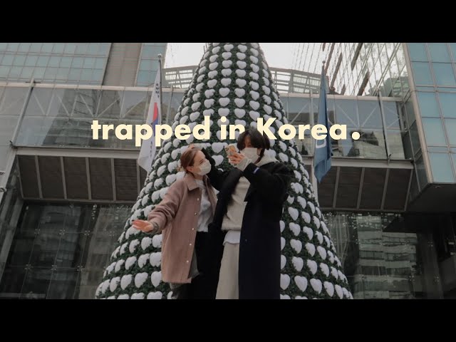 Trapped in Korea for Christmas... So I Explored Seoul's Holiday Vibes 🎄✨ | Sissel