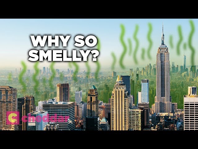 Why Does New York City Smell So Bad? - Cheddar Explains