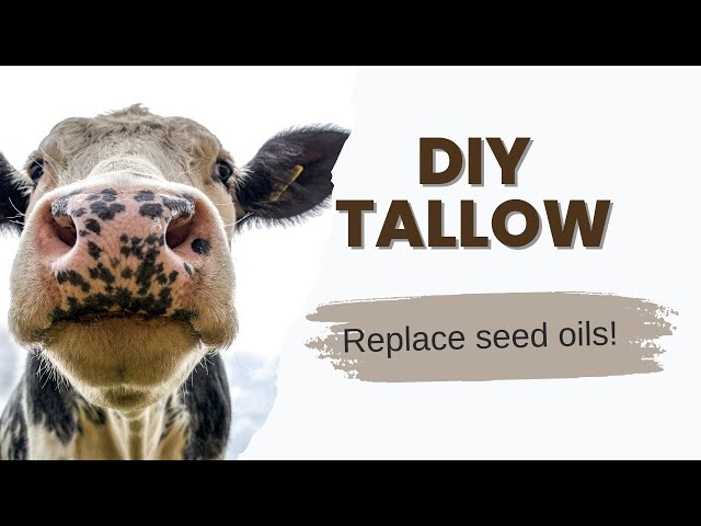 How to Make Tallow and Prep Your Pantry with Healthy Animal Fats | STOP Using SEED OILS!