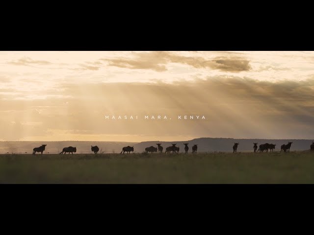 Masaai Mara, Kenya | Mission Trip