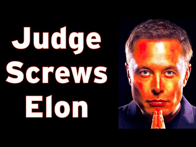 Elon Musk - Tesla - Delaware Decision Analysis