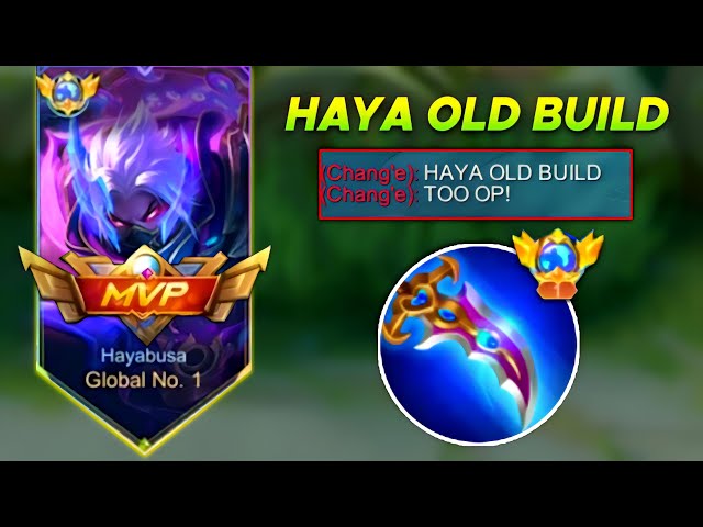 Hayabusa OLD META BUILD IS BACK! 100% WORKING FOR HIGH DAMAGE OUTPUT!