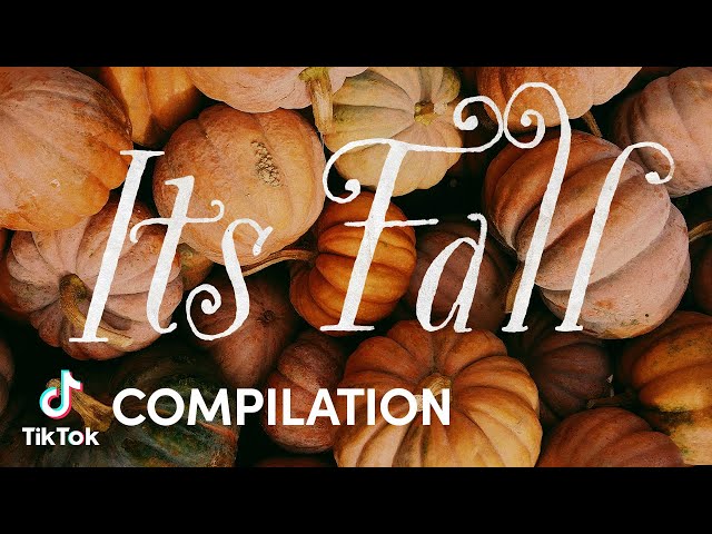 It's Fall | Compilation | TikTok