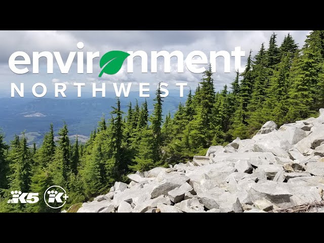 Our changing world | A 2023 Environment Northwest special