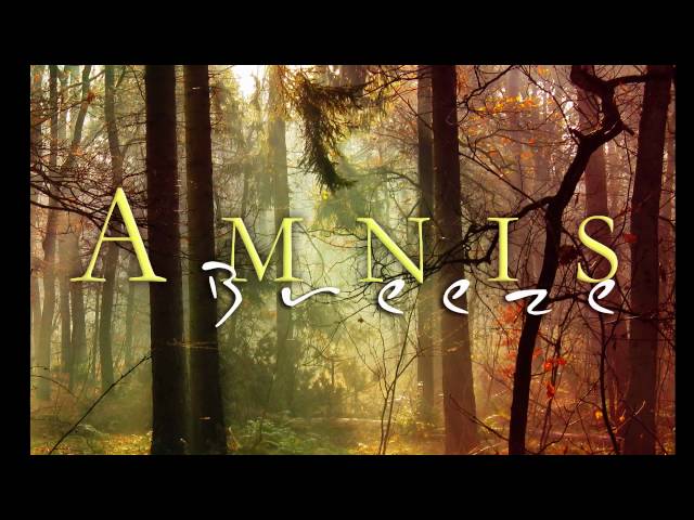 Amnis - Breeze