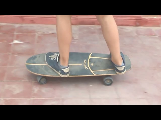carver surf skateboard riding