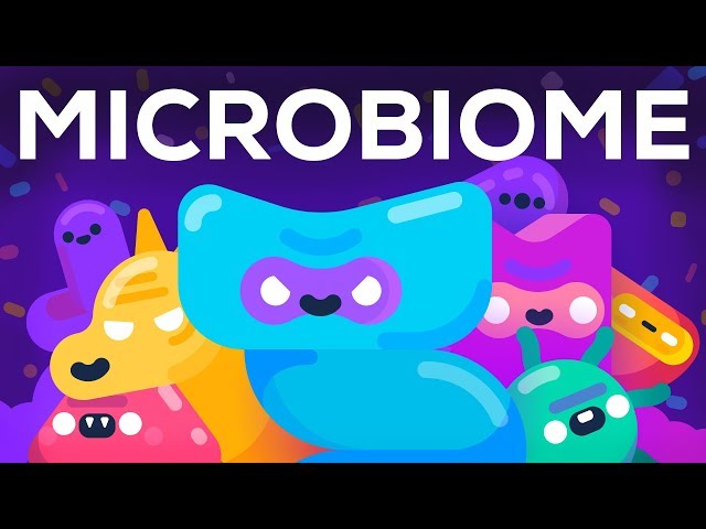How Bacteria Rule Over Your Body – The Microbiome