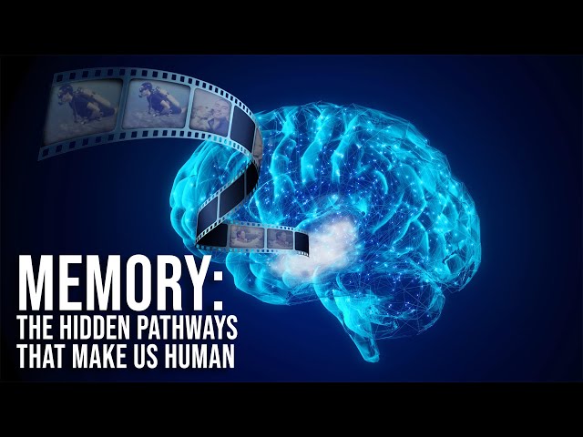 Memory: The Hidden Pathways That Make Us Human