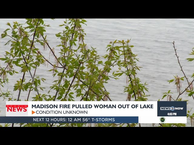 MFD crews pull person from Lake Mendota who was yelling for help