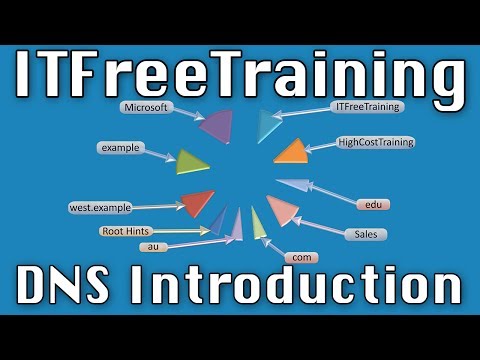 DNS Training