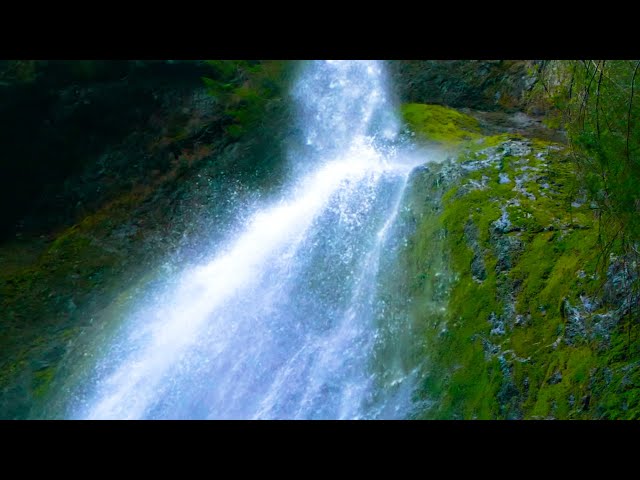 Waterfall Sound for Sleeping, Relaxation, Stress Relief 😊 White Noise 10 Hours