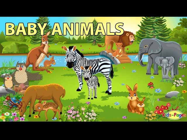 Baby Animals Names and Sounds