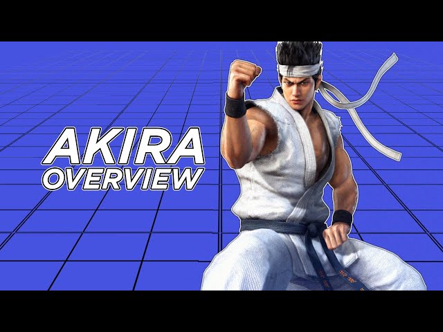 Akira Yuki Overview - Virtua Fighter 5: Ultimate Showdown